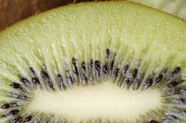 Fresh Kiwi Close-up — Stock Photo, Image