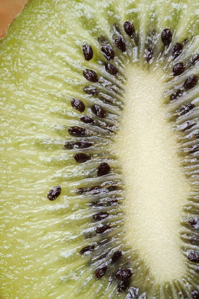 Färsk Kiwi närbild — Stockfoto