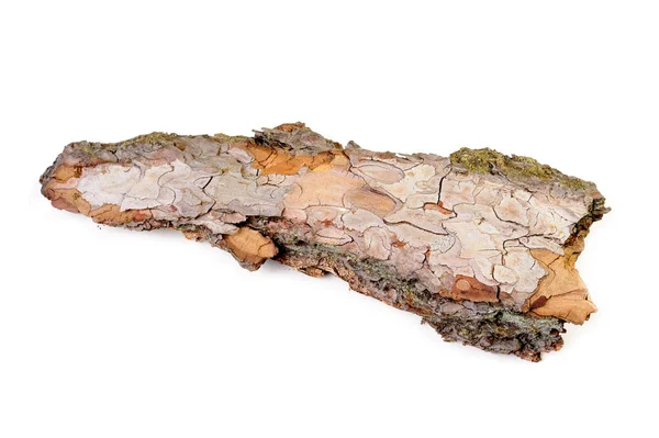 Corteccia di pino isolato su bianco — Foto Stock