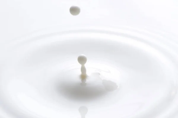 Beautiful Milk Drops — Stock Photo, Image