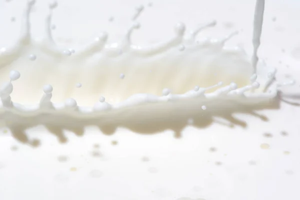 Mjölk splash bakgrund — Stockfoto