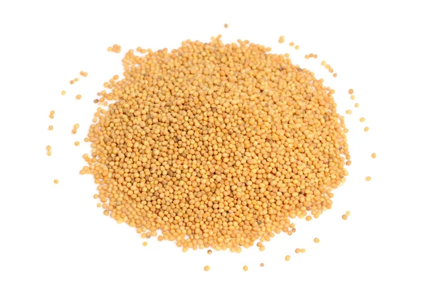 Mustard Seeds Isolated on White Background — Stock Photo, Image