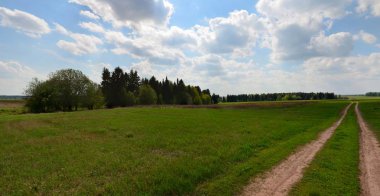 Rusya'da garden yakınındaki alanları