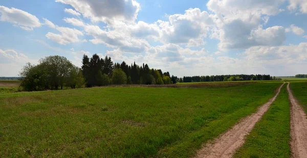 Rusya'da garden yakınındaki alanları