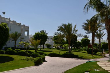 Mısır'daki otel