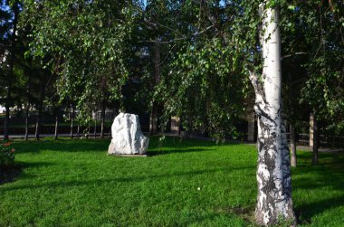 Novosibirsk, Rusya Federasyonu - 30 Temmuz 2016