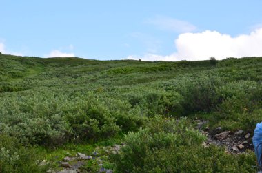 Altay Dağları için seyahat