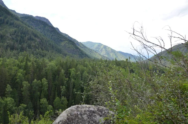 Reise in die Berge des Altay — Stockfoto