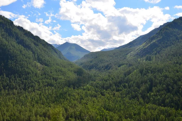 Reise in die Berge des Altay — Stockfoto