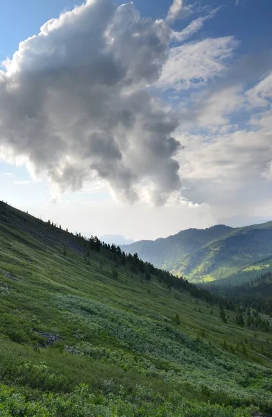 Viaje a las montañas Altay —  Fotos de Stock