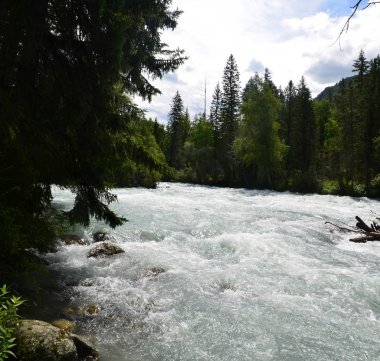 Altay Dağları için seyahat