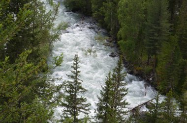 Altay Dağları için seyahat