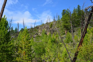Altay Dağları için seyahat