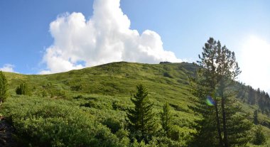Altay Dağları için seyahat