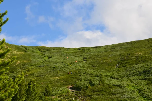 Travel to Altay Mountains — Stock Photo, Image