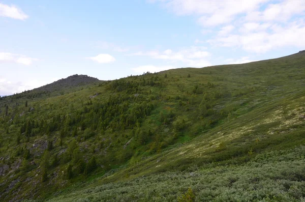 Viaje a las montañas Altay — Foto de Stock