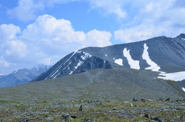 Altay Dağları için seyahat