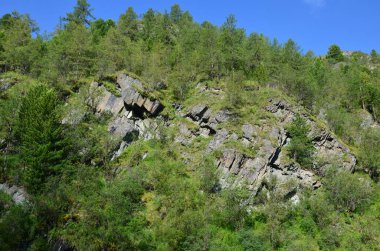 Altay Dağları için seyahat