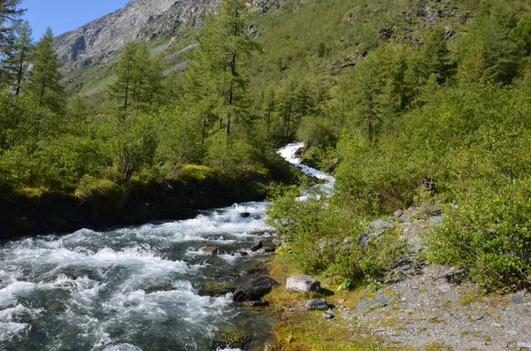 Altay Dağları için seyahat