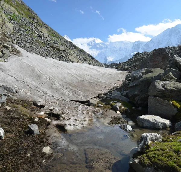 Altay Dağları için seyahat