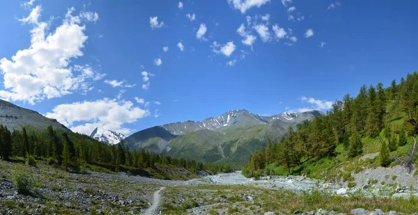 Viaje a las montañas Altay —  Fotos de Stock