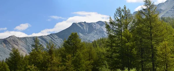 Viaje a las montañas Altay —  Fotos de Stock