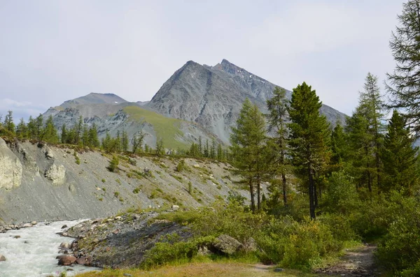 Viaggio ad Altay — Foto Stock