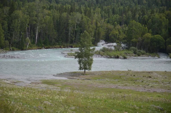 Anreise nach Altay — Stockfoto