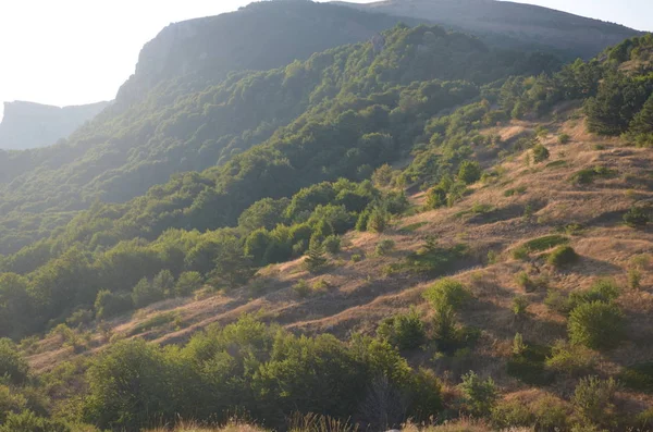 Вапнякові Печери Кримському Півострові — стокове фото