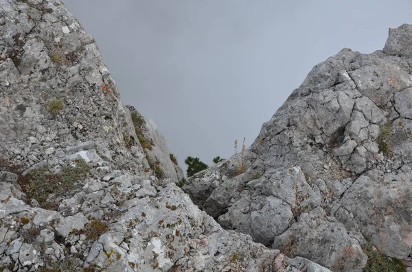 Ai ペトリネットの岩の上の霧 — ストック写真