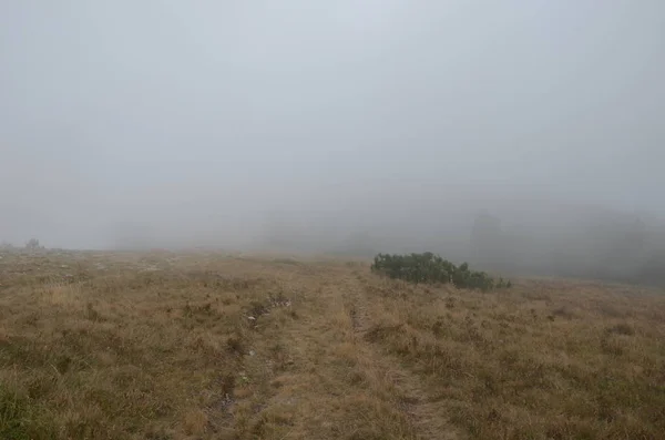Ομίχλη πάνω από τα βράχια του Ai Petri — Φωτογραφία Αρχείου