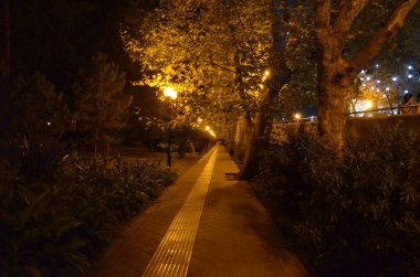 Sochi kent ile tanışma