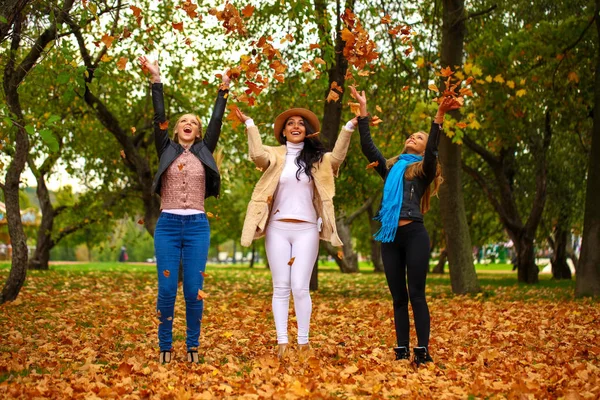 Tre unga vackra kvinnor promenader i parken — Stockfoto