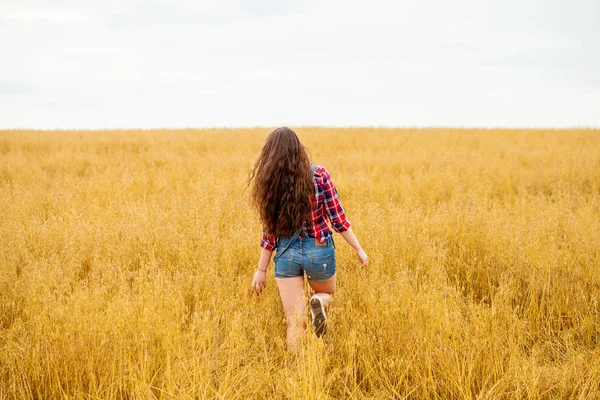 Молодая красивая женщина ходит в поле, лето на открытом воздухе — стоковое фото