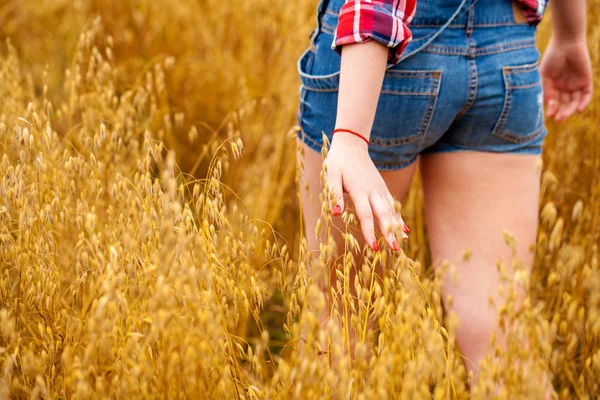 Female arms in fields — Stock Photo, Image