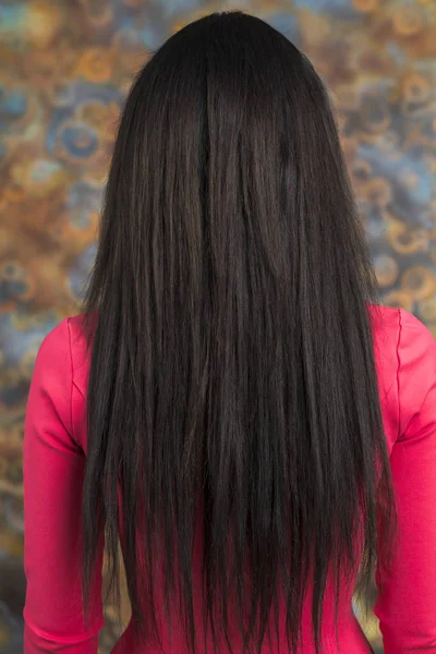 Mujer Long morena cabello, vista trasera —  Fotos de Stock