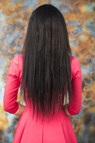 Mujer Long morena cabello, vista trasera —  Fotos de Stock
