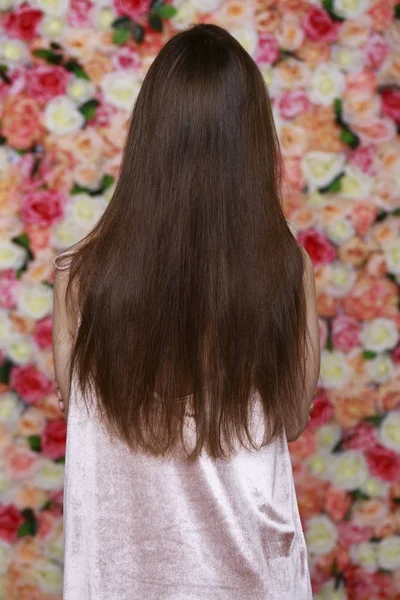 Női hosszú barna haja, hátsó nézet — Stock Fotó
