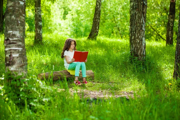 Charmant klein meisje in forest met boek zit op een boomstronk — Stockfoto