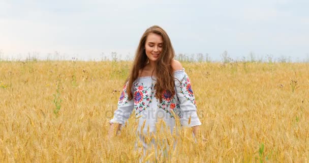 Menina bonita jovem posando contra um fundo de campo de trigo — Vídeo de Stock