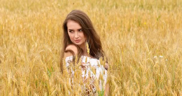 Joven hermosa chica posando sobre un fondo de campo de trigo — Vídeos de Stock