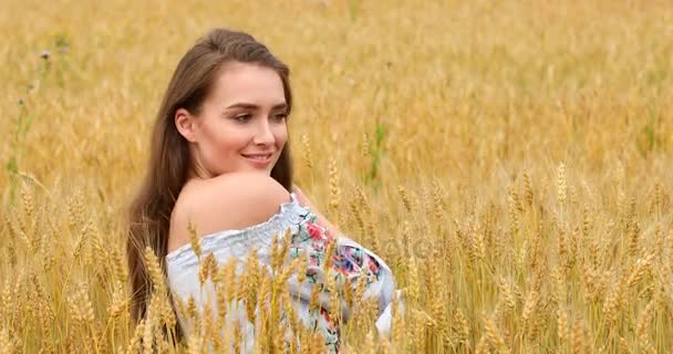 Menina bonita jovem posando contra um fundo de campo de trigo — Vídeo de Stock