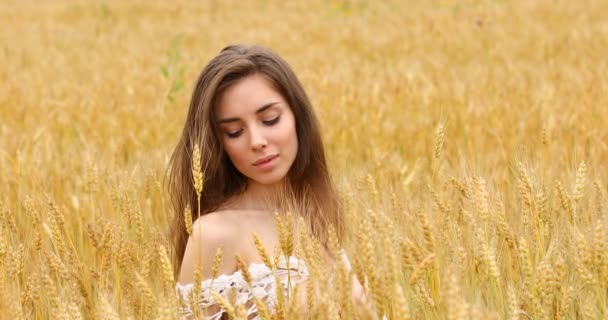 Piękna dziewczyna pozuje na tle pola pszenicy — Wideo stockowe