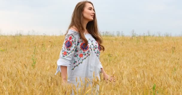 Menina bonita jovem posando contra um fundo de campo de trigo — Vídeo de Stock