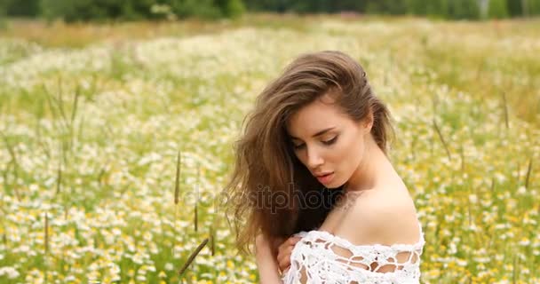 Молодая красивая брюнетка позирует на фоне ромашковой поляны — стоковое видео