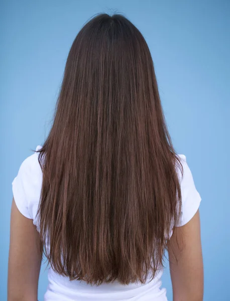 여성 긴 갈색 머리, 후면 보기 — 스톡 사진