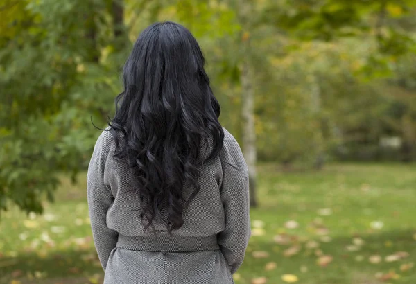 Morena, Modelo de beleza de cabelo — Fotografia de Stock