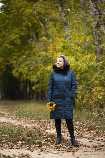 Grijze haren bejaarde vrouw in een herfst park — Stockfoto