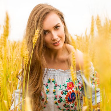 Altın buğday alan arka plan üzerinde genç kadın