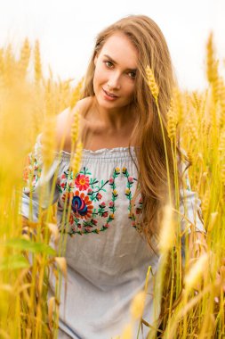 Altın buğday alan arka plan üzerinde genç kadın